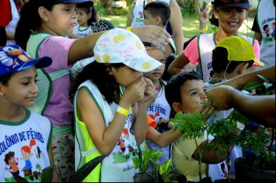 notícia: Colônia de Férias: Aprendizado, diversão e contato com a natureza