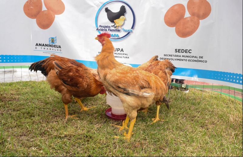 18° Edição do Programa Prefeitura em Movimento no bairro de Águas Lindas