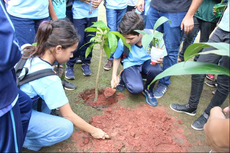 Alunos plantando mudas no Parque Vila Maguary.