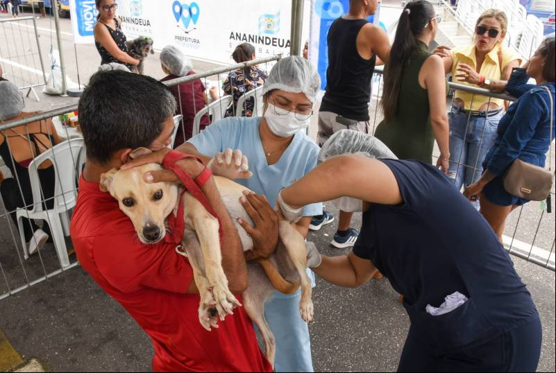 Animais sendo vacinados. 